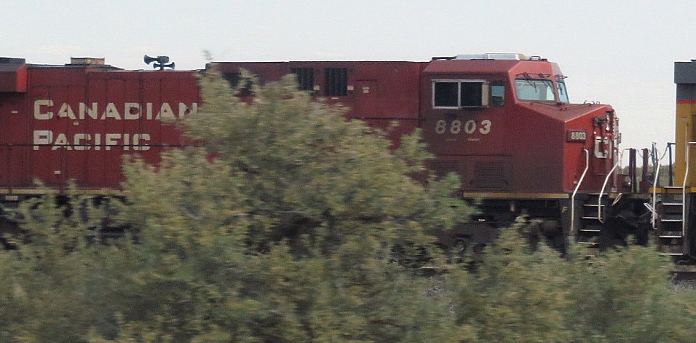 CP 8803